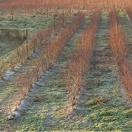 Holiday home Surribes *