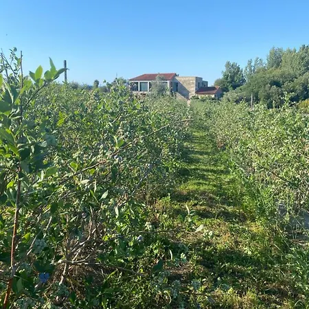 Surribes Holiday home Braga