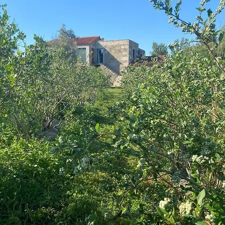 Surribes بيت للعطل براغا